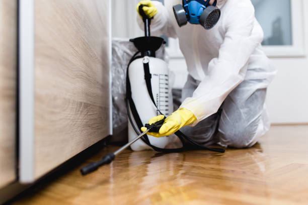 Best Residential Pest Control  in Plentywood, MT