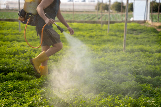 Best Pest Control for Businesses  in Plentywood, MT