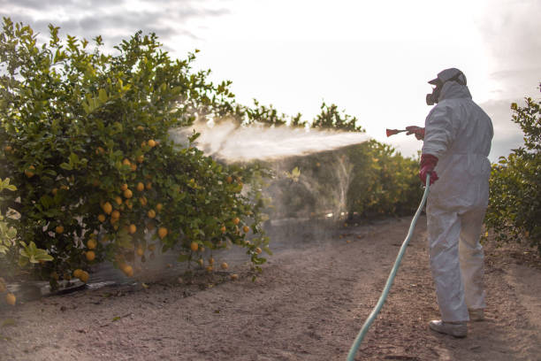 Plentywood, MT Pest Control Company