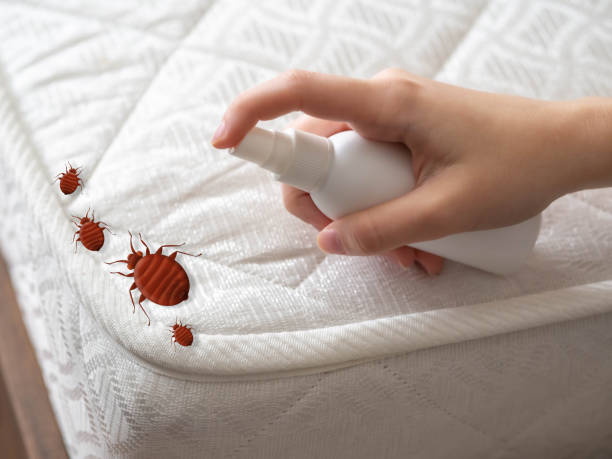 Best Best Pest Control Companies  in Plentywood, MT